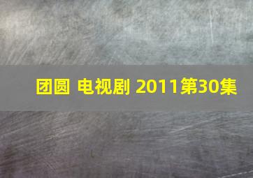 团圆 电视剧 2011第30集